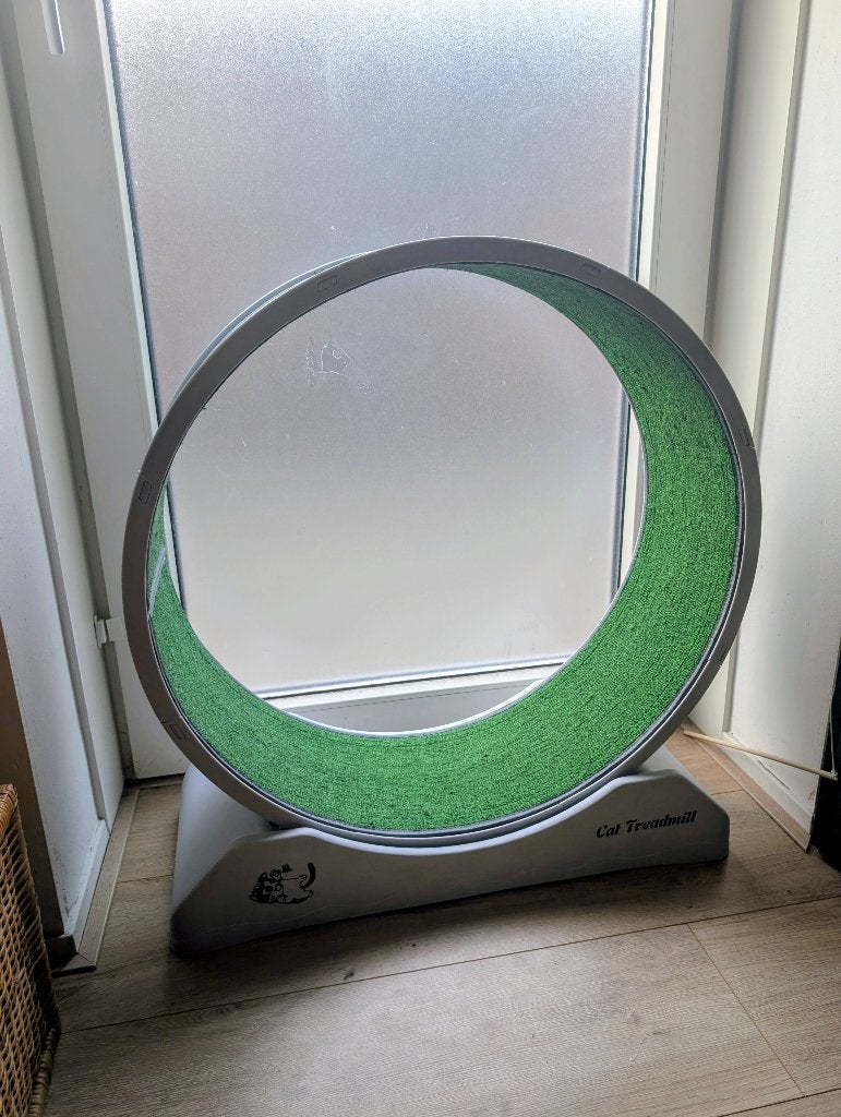 Katten loopwiel / cat treadmill, Ophalen, Zo goed als nieuw, Overig speelgoed