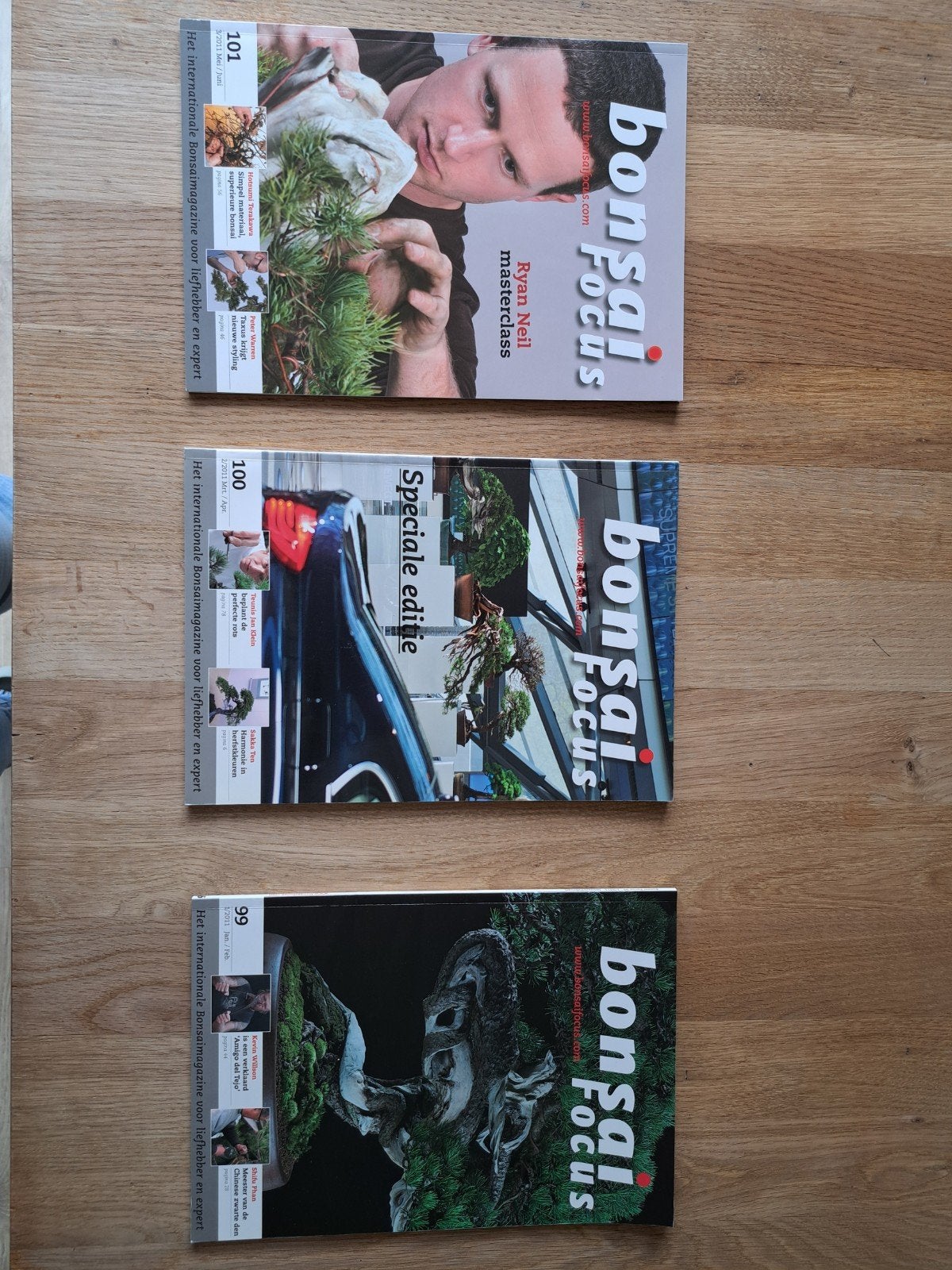 Bonsai Focus Magazines - Nummers 99, 100, 101, Boeken, Ophalen of Verzenden, Zo goed als nieuw, Overige typen
