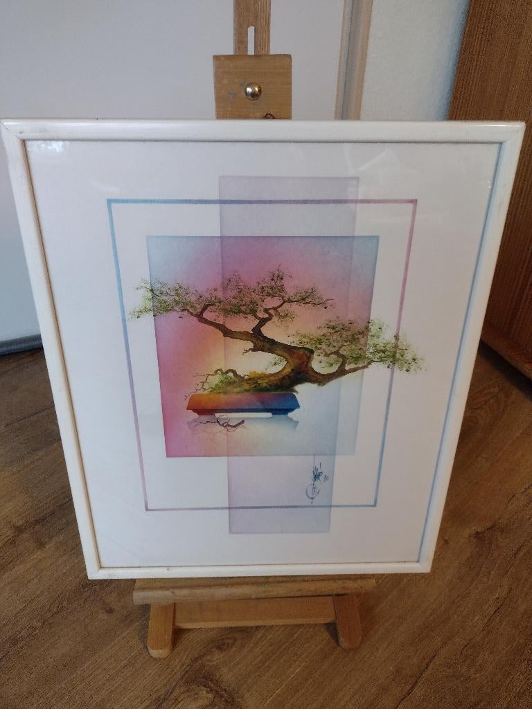 bonsai boompje werk is gesigneerd zit achter glas, Ophalen of Verzenden