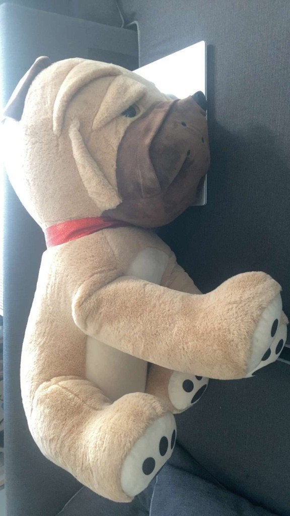 Grote hond pluche, Nieuw, Groot (groter dan 80 cm), Korrelvulling, Hond