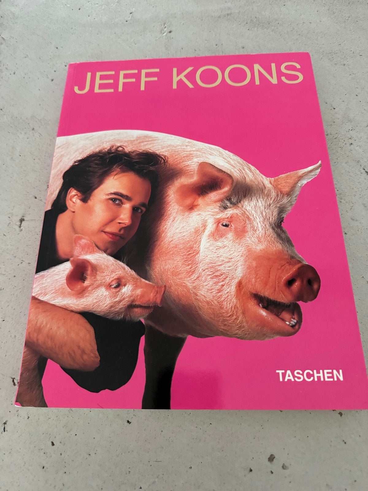Jeff Koons - Taschen Kunstboek, Verzenden, Gelezen, Overige onderwerpen