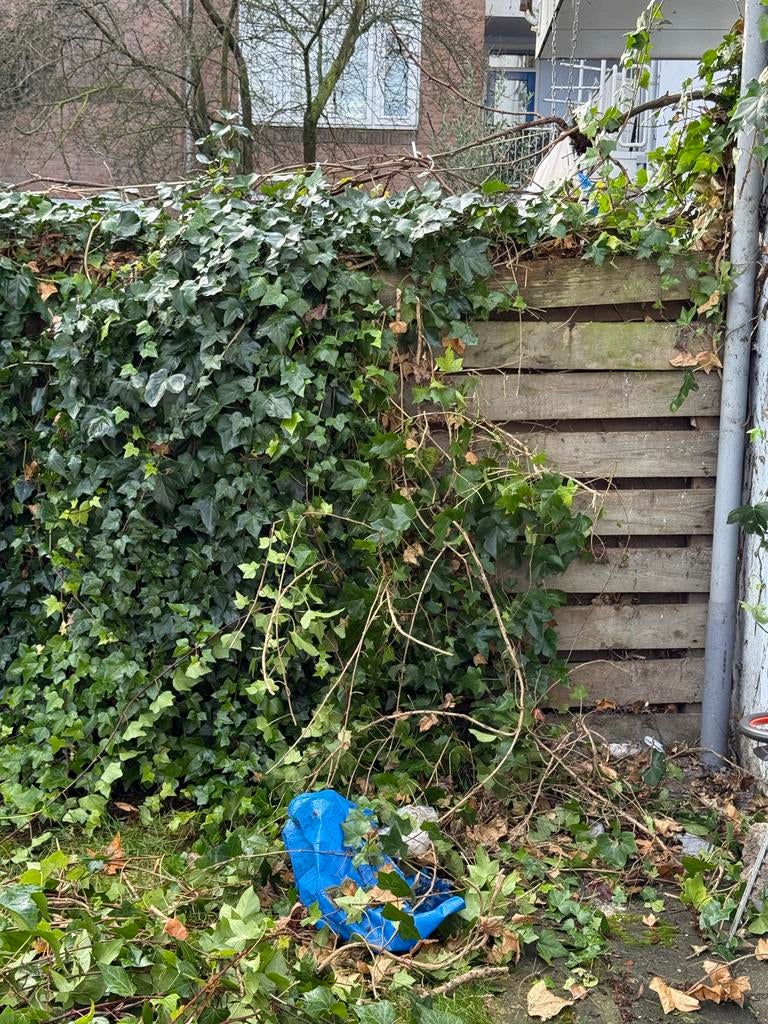 Tuinonderhoud, Tuin en Terras, Tuinhekken en Hekwerk, Met poort, Gebruikt, Ophalen of Verzenden, Tuinhek