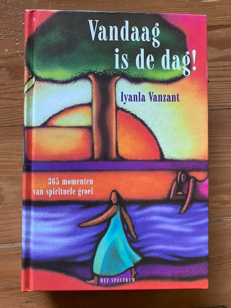 Vandaag is de dag!- Lyanla Vanzant, Boeken, Ophalen of Verzenden, Gelezen