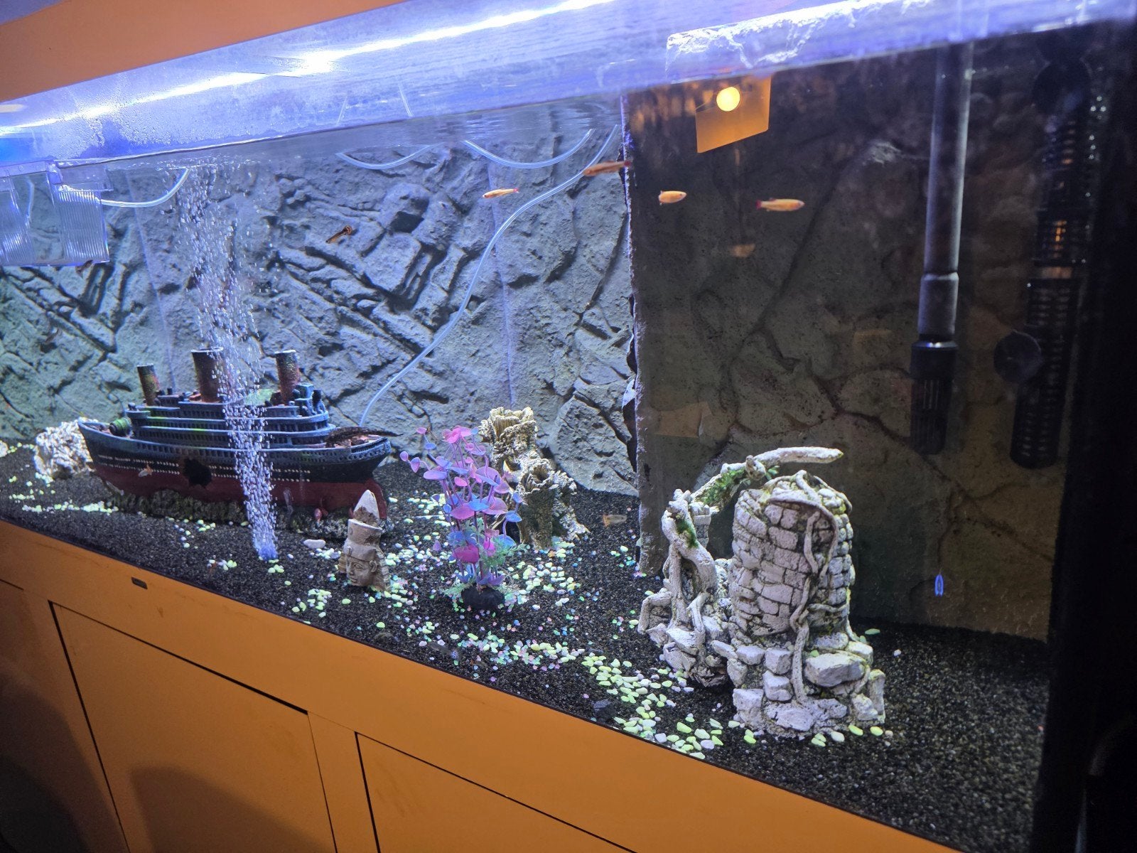 aquarium groot, Dieren en Toebehoren, Ophalen of Verzenden, Zo goed als nieuw, Gevuld zoetwateraquarium