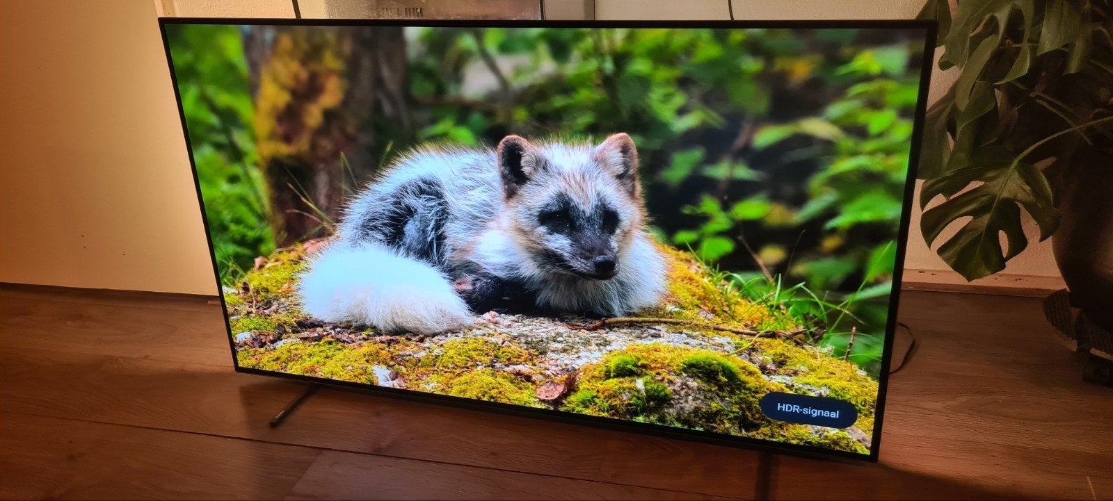 Philips 55OLED754 – 55″ 4K OLED Smart TV – 120Hz HDR10, Ophalen, Philips, Zo goed als nieuw, 100 cm of meer