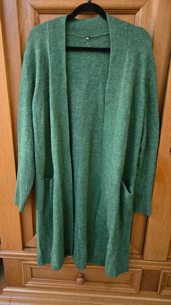 Hema groen lang vest Lana Maat L, Maat 42/44 (L), Ophalen of Verzenden, Zo goed als nieuw, Hema