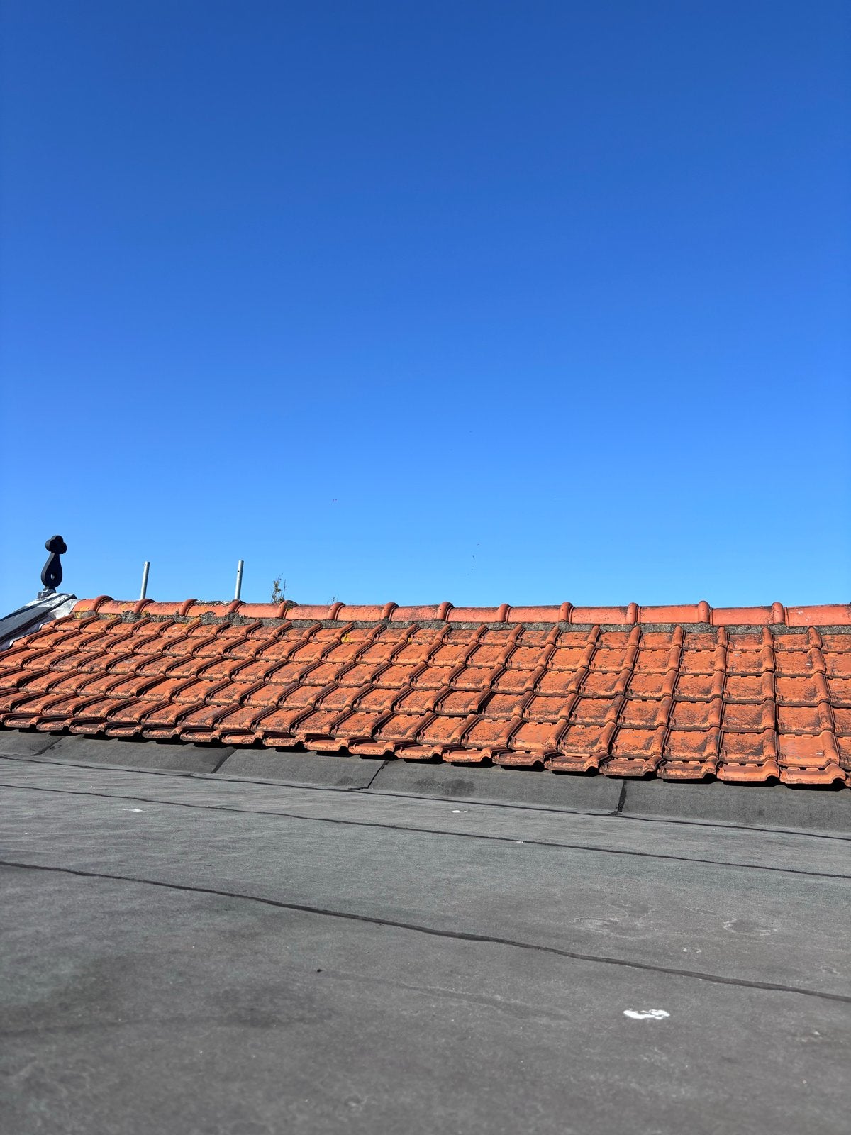 Gebruikte dakpannen (Tuile du Nord), Ophalen, Gebruikt, Steen of Klei, 15 m² of meer