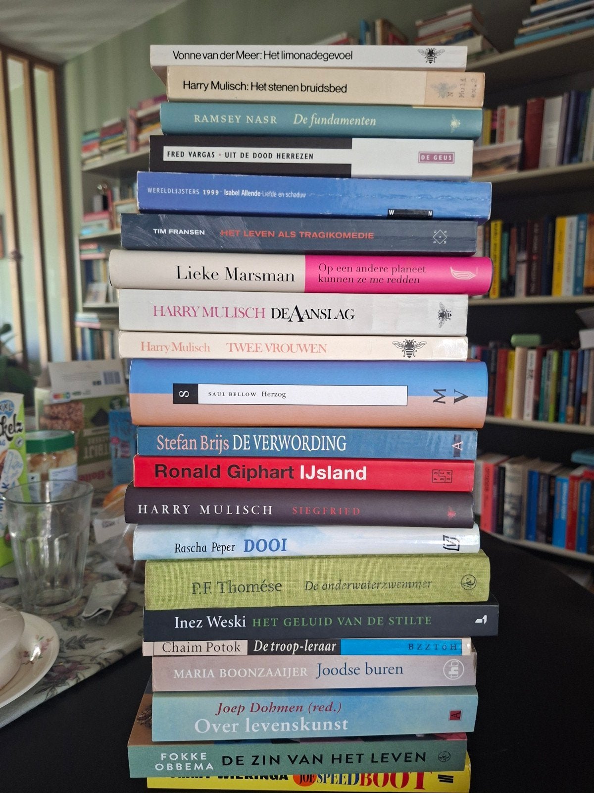 100 boeken vooral nederlandse literatuur in 1 koop €80, Ophalen, Gelezen