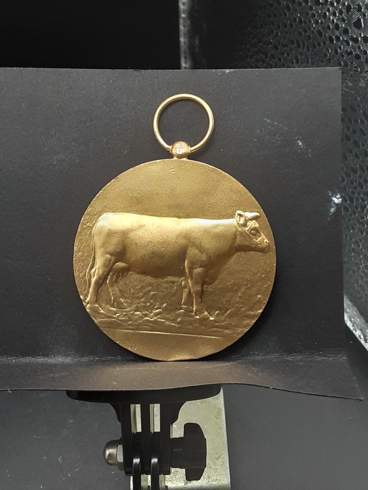 Koeien medaille prijskamp Wulpen, Ophalen of Verzenden, Overige materialen