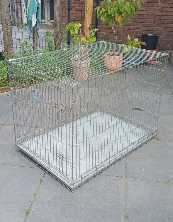 Grote Honden Bench/ Draadkooi, Ophalen, Gebruikt