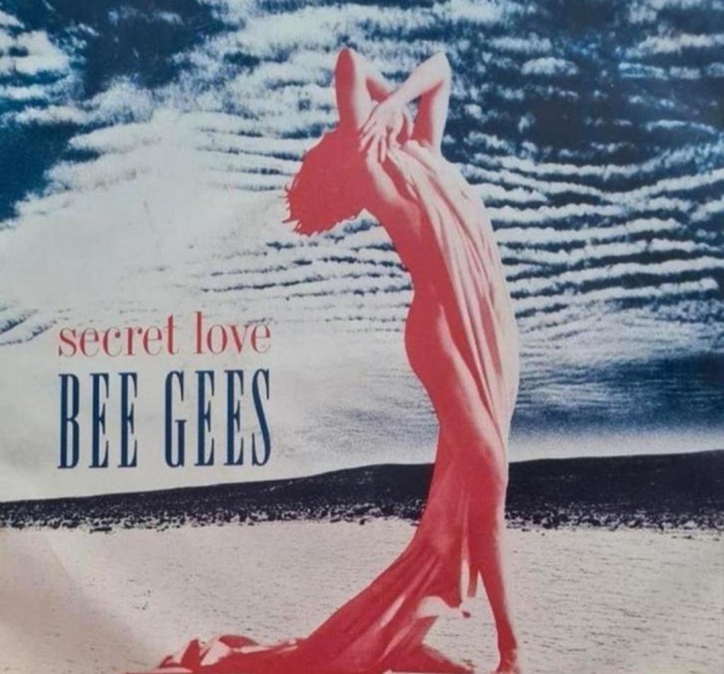 THE BEE GEES - SECRET LOVE, Ophalen of Verzenden, Gebruikt, Pop