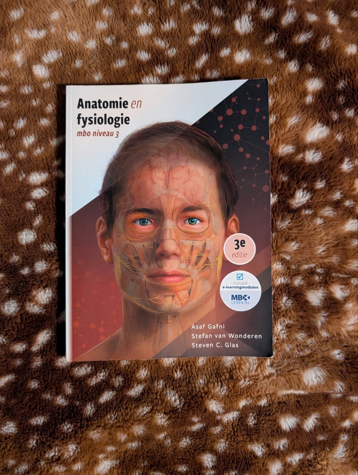 Anatomie en Fysiologie MBO niveau 3 - Zo goed als nieuw, Boeken, Ophalen of Verzenden, Zo goed als nieuw, MBO, Asaf Gafni, Stefan van Wonderen, Steven C. Glas