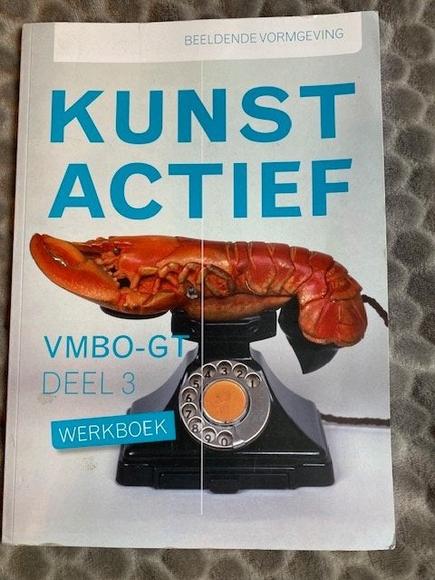 schoolboek werkboek beeldende vormgeving VMBO GT, Boeken, Ophalen of Verzenden, Nieuw, VMBO