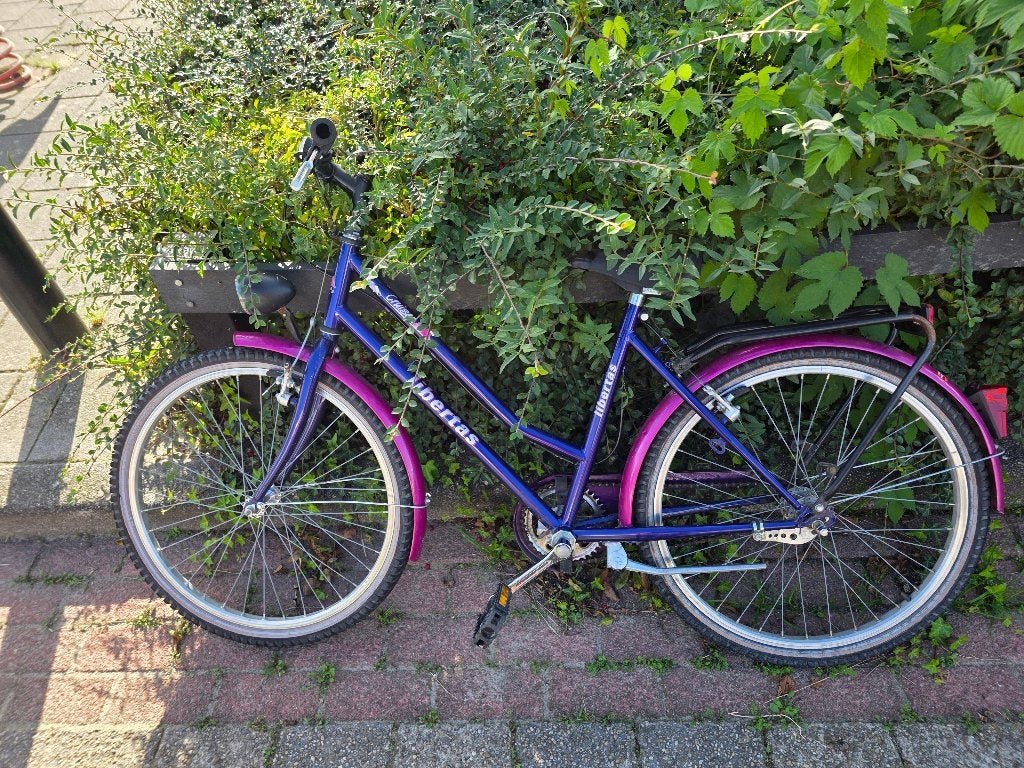 kinderfietsje, Fietsen en Brommers, Ophalen, Velgrem, Libertas, 16 tot 20 inch