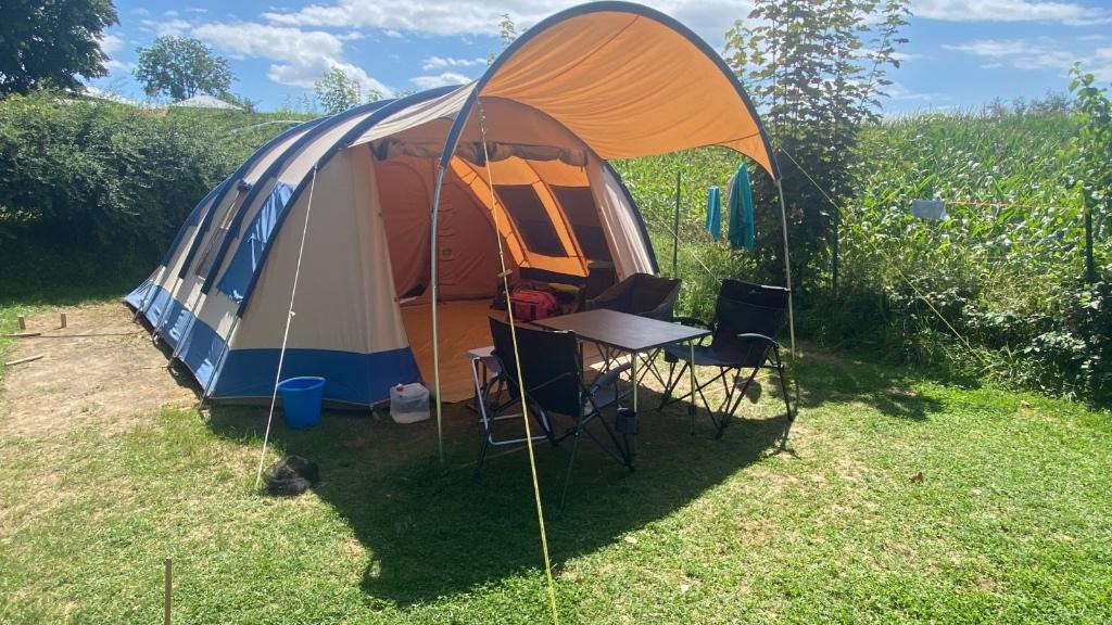 Vrijbuiter Michigan 7 persoons tent, Caravans en Kamperen, Tenten, Ophalen, Gebruikt, Meer dan 6