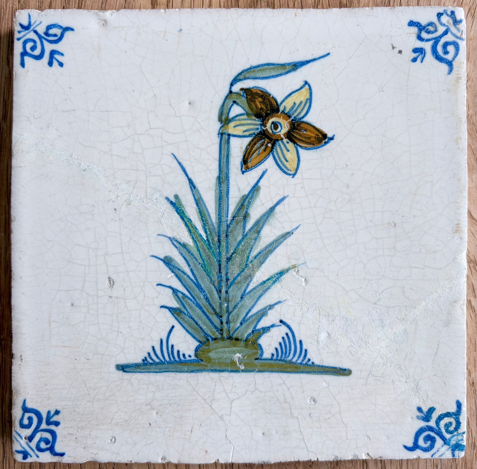 17e eeuwse tegel met Narcis, Ophalen of Verzenden