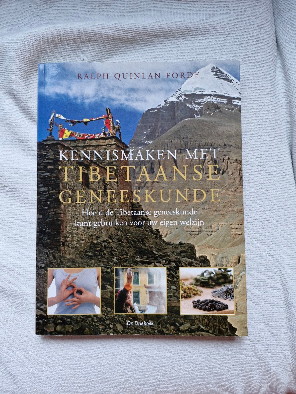 R.Q. Forde - Kennismaken met Tibetaanse geneeskunde, Boeken, Ophalen of Verzenden, Zo goed als nieuw, R.Q. Forde