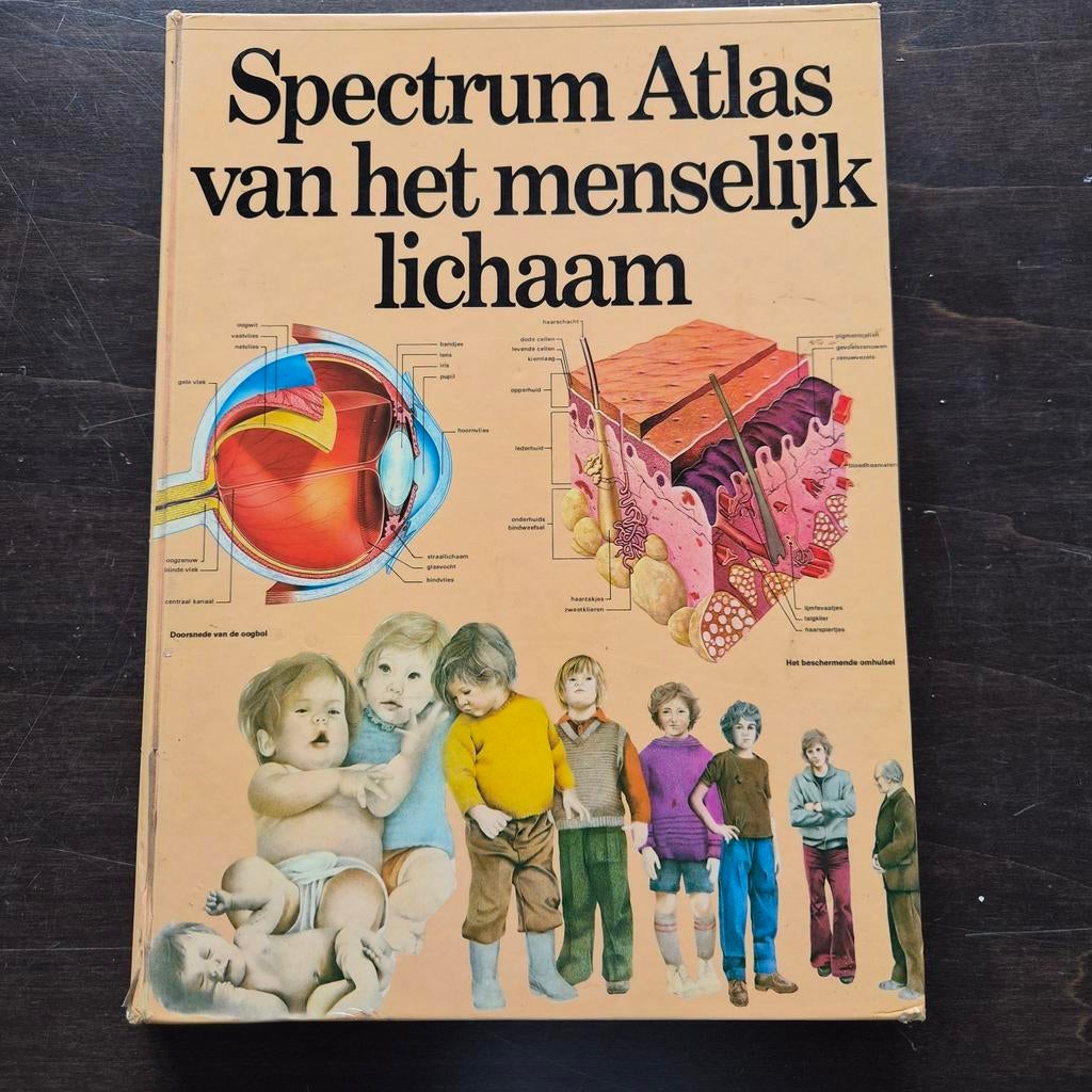 Spectrum Atlas van het menselijk lichaam, Boeken, Ophalen of Verzenden, Gelezen, Onbekend