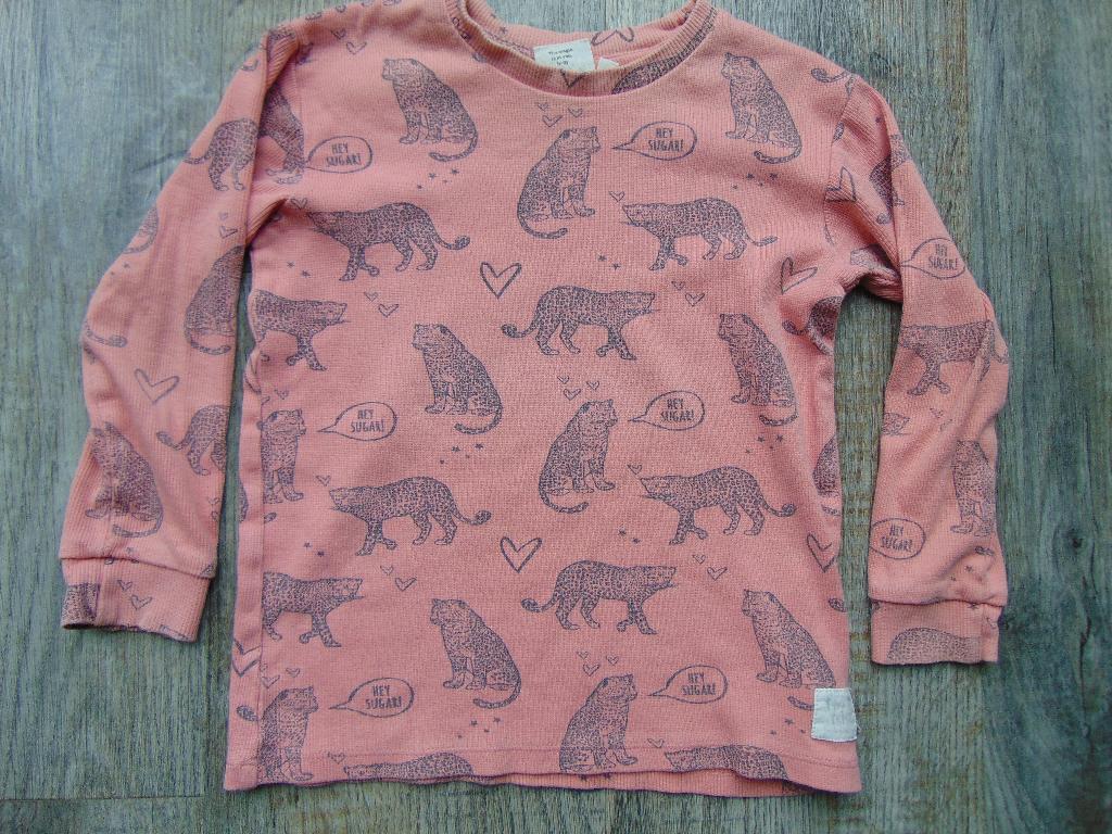 Feetje trui roze met panters maat 98 truitje, Meisje, Trui of Vest, Ophalen of Verzenden, Zo goed als nieuw