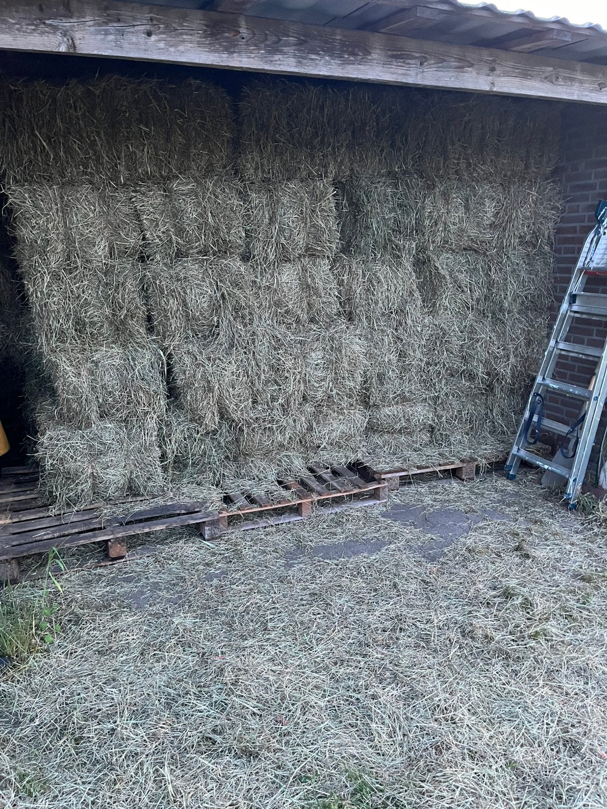 Hooi eerste snee, Ophalen of Verzenden, Vee