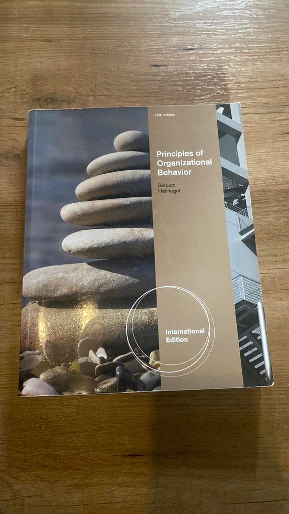 Principles of Organizational Behavior, Ophalen of Verzenden, Zo goed als nieuw