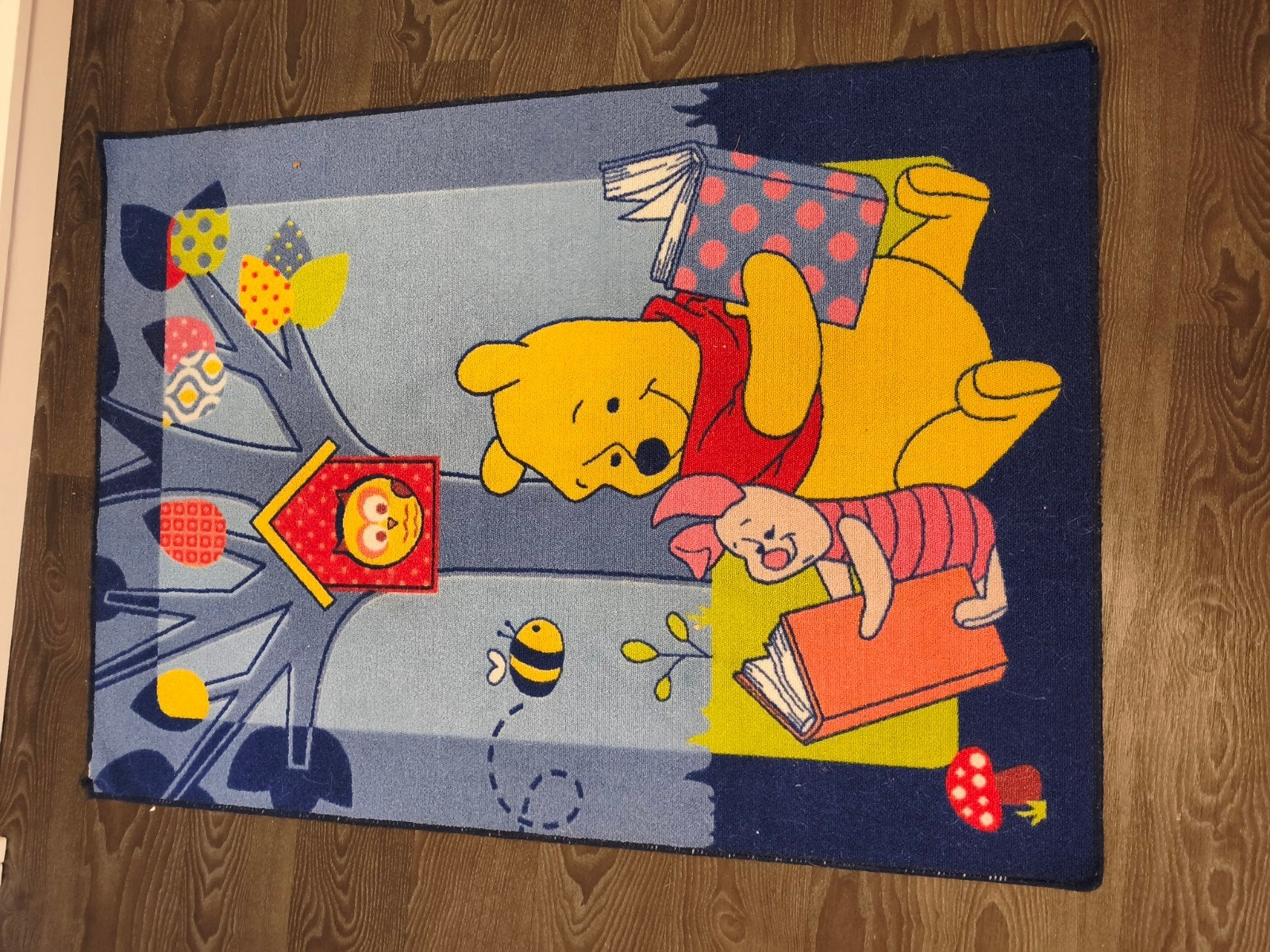 Winnie the pooh kleed, Ophalen of Verzenden, Zo goed als nieuw