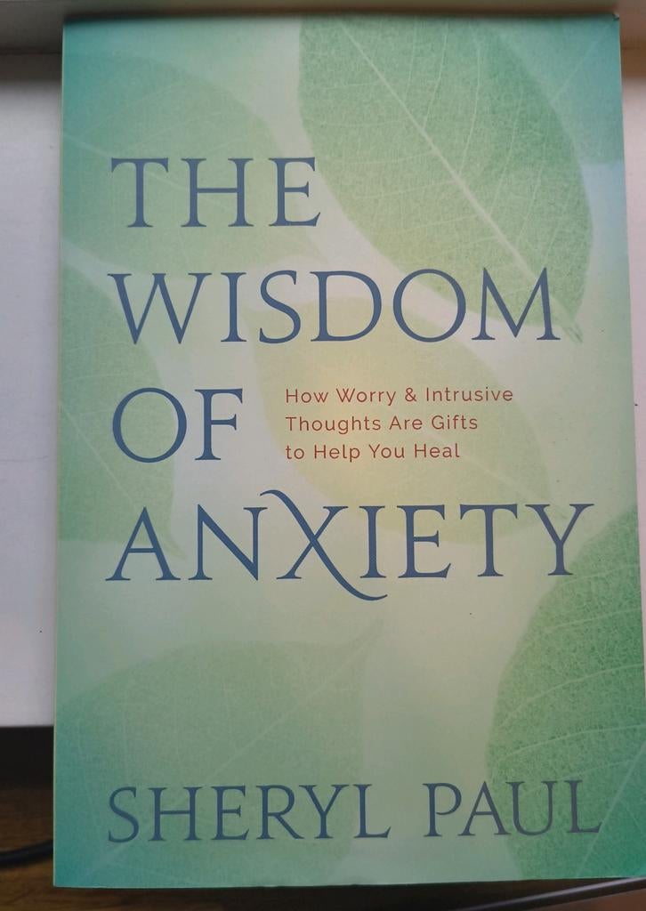 The Wisdom of Anxiety - Sheryl Paul - Engels, Boeken, Ophalen of Verzenden, Nieuw, Sheryl Paul