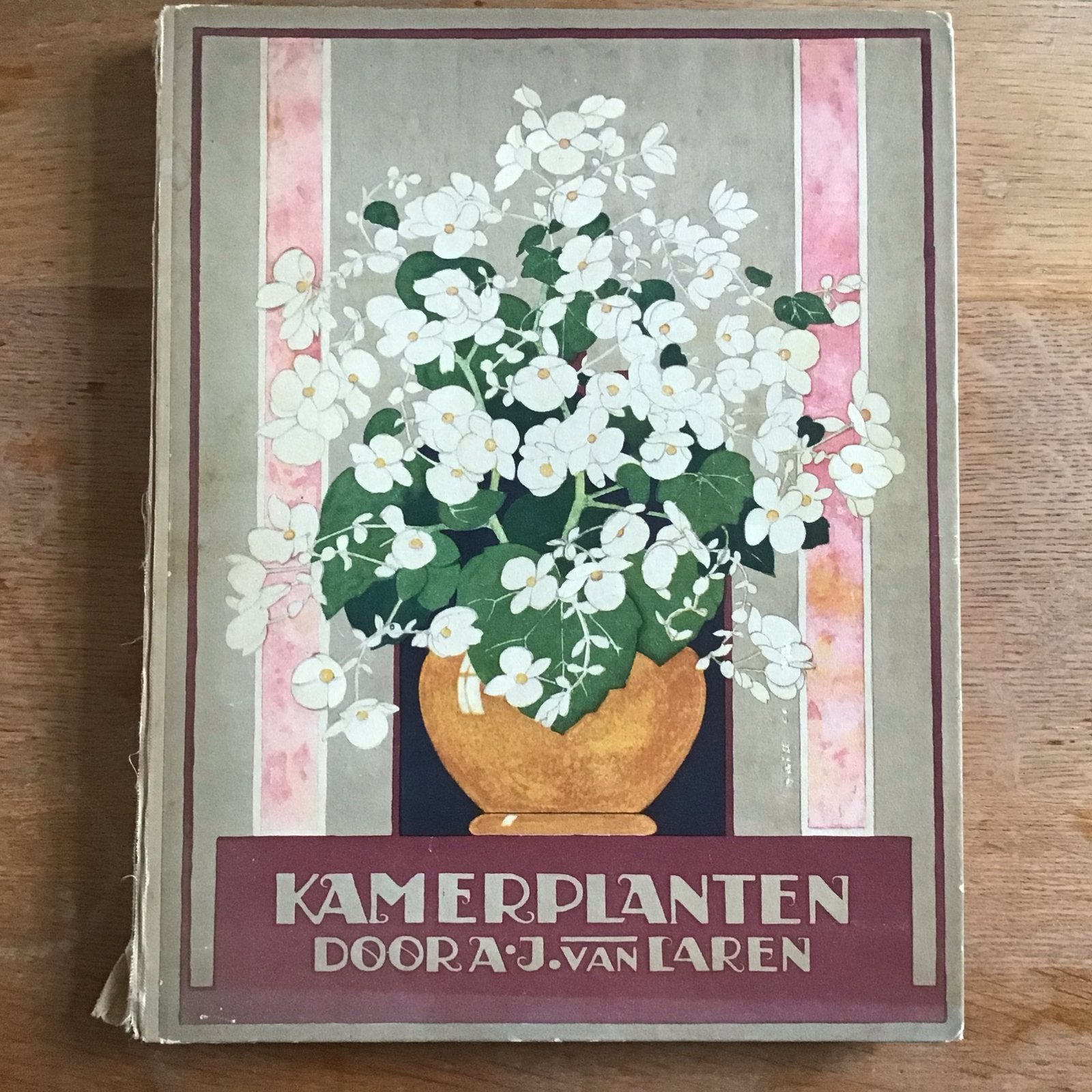 Kamerplanten planten Verkade A.J. van Laren 1928 - 1ste druk, Boeken, Ophalen of Verzenden, Plaatjesalbum