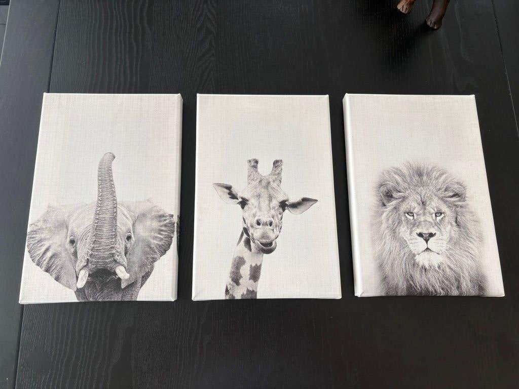 3 canvas foto dieren 20cm breed en 30cm hoog, Ophalen of Verzenden, Zo goed als nieuw, Minder dan 50 cm, Schilderij