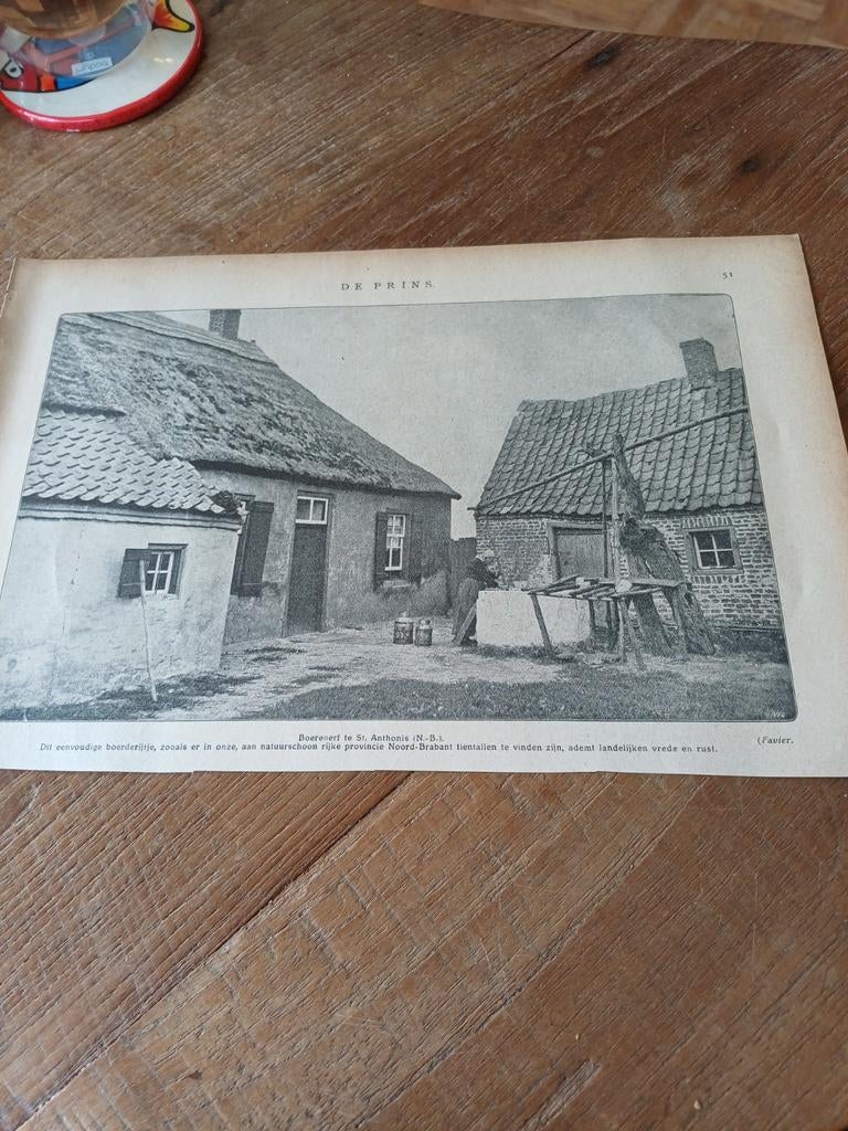 Knipsel boerenerf Sint Anthonis 1923, Ophalen of Verzenden, 1920 tot 1940, Knipsel(s)