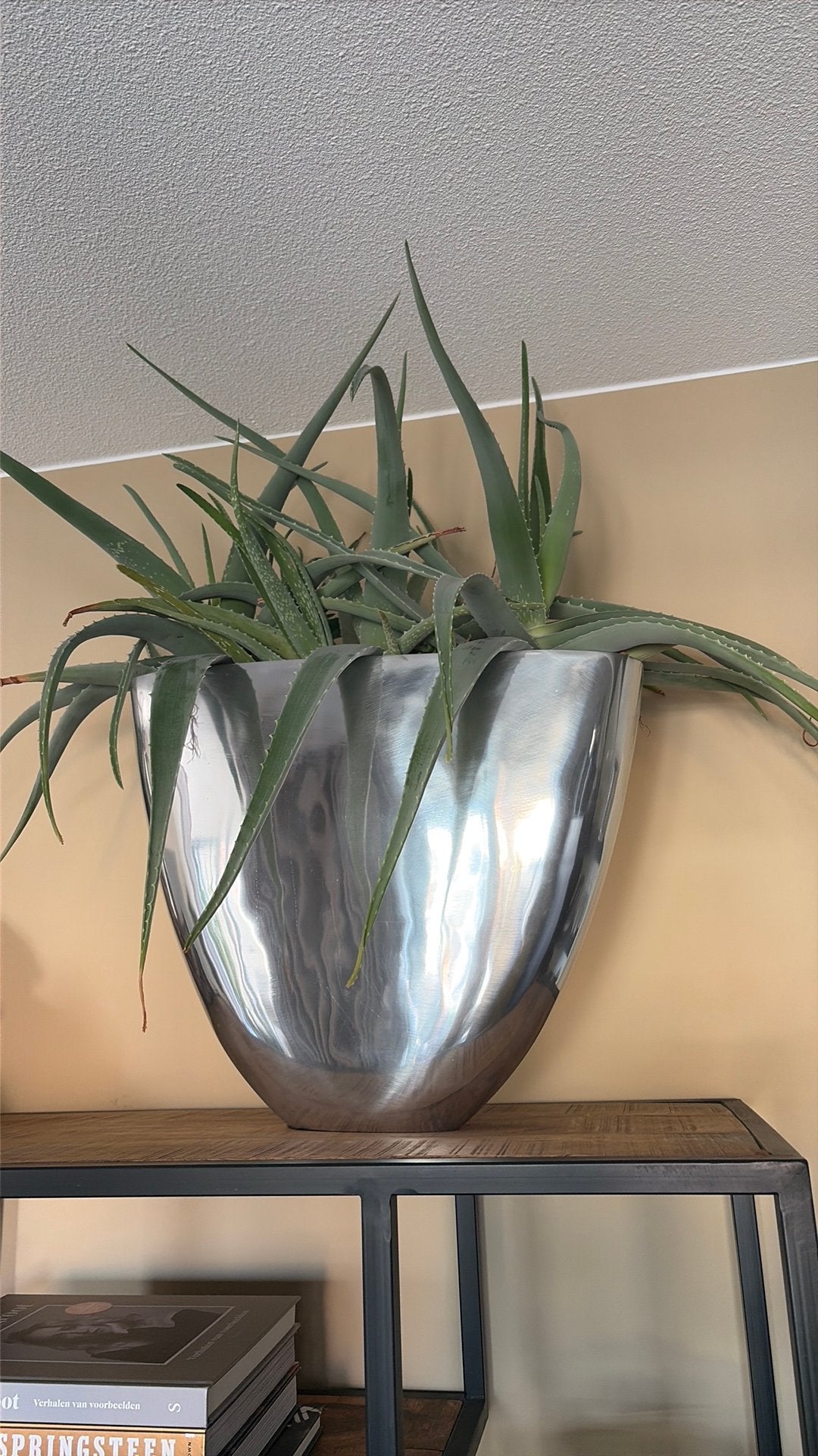Bloempotten met plant (in de style van Riviera Maison), Ophalen, Halfschaduw, Minder dan 100 cm