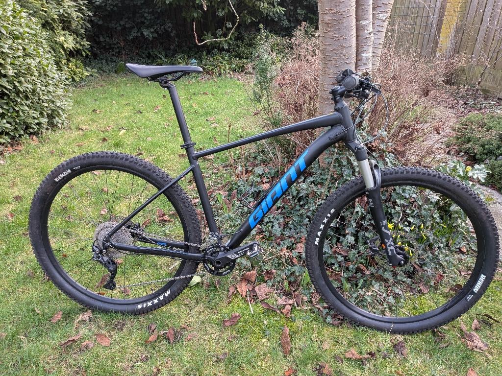Giant Talon (maat L), Fietsen en Brommers, Ophalen, Hardtail, Heren, Giant