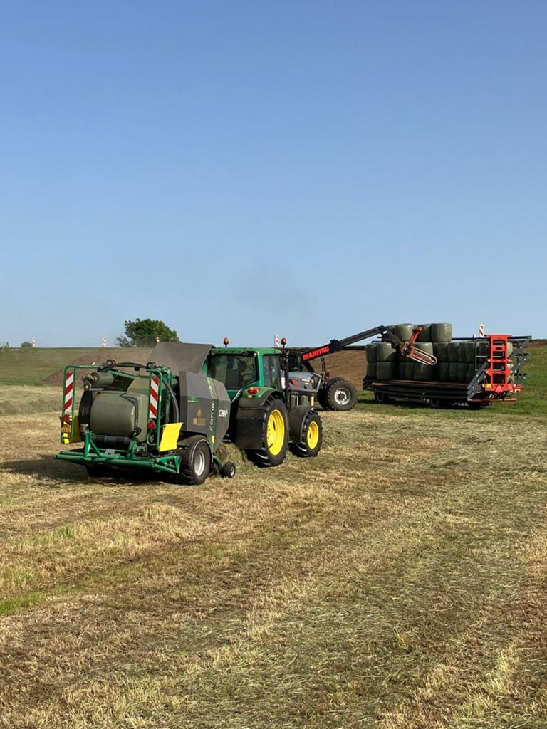 Midibalen nieuwe oogst 2026 te koop, Dieren en Toebehoren, Stalling en Weidegang