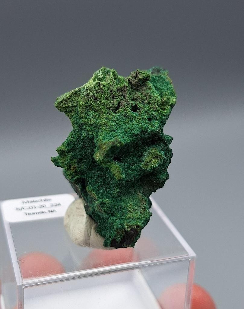 Malachiet, Duftiet (tl) - Tsumeb Mine, Namibië, Ophalen of Verzenden, Mineraal