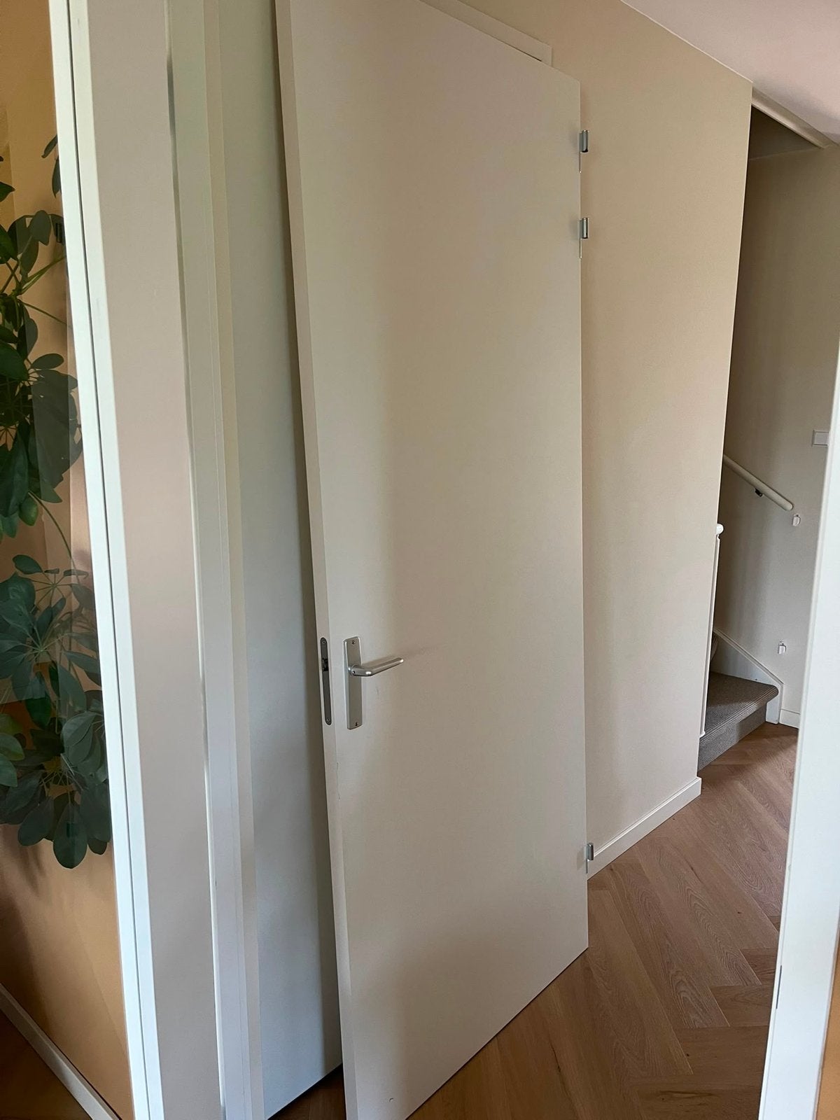 Berkvens binnendeur, zo goed als nieuw, gratis af te halen, Ophalen, 80 tot 100 cm, 215 cm of meer, Binnendeur