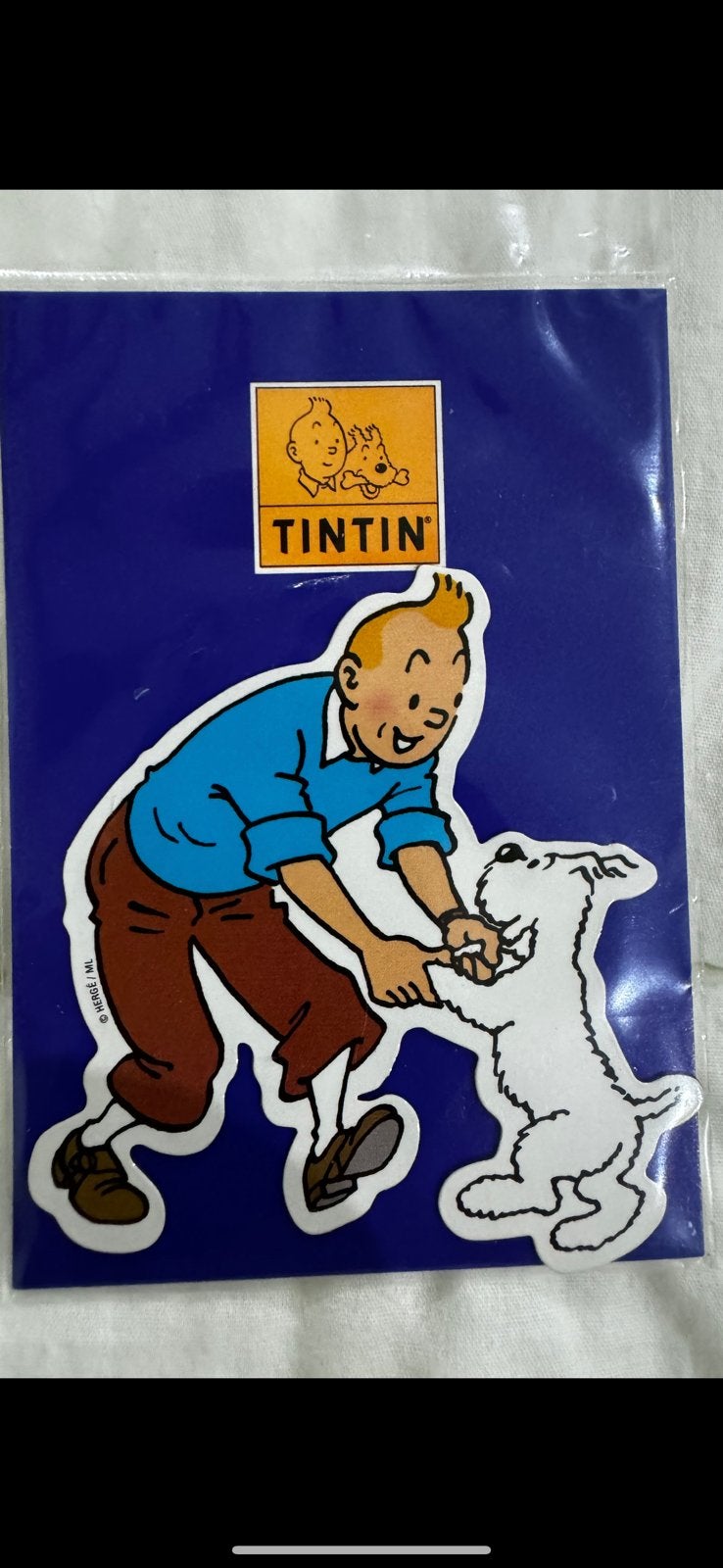 Kuifje magneet, Ophalen of Verzenden, Kuifje, Zo goed als nieuw, Beeldje of Figuurtje