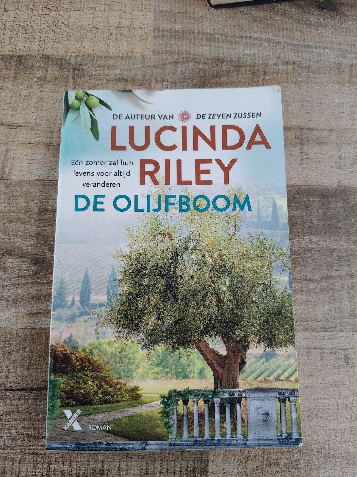 De Olijfboom - Lucinda Riley (Roman), Ophalen of Verzenden, Zo goed als nieuw, Lucinda Riley