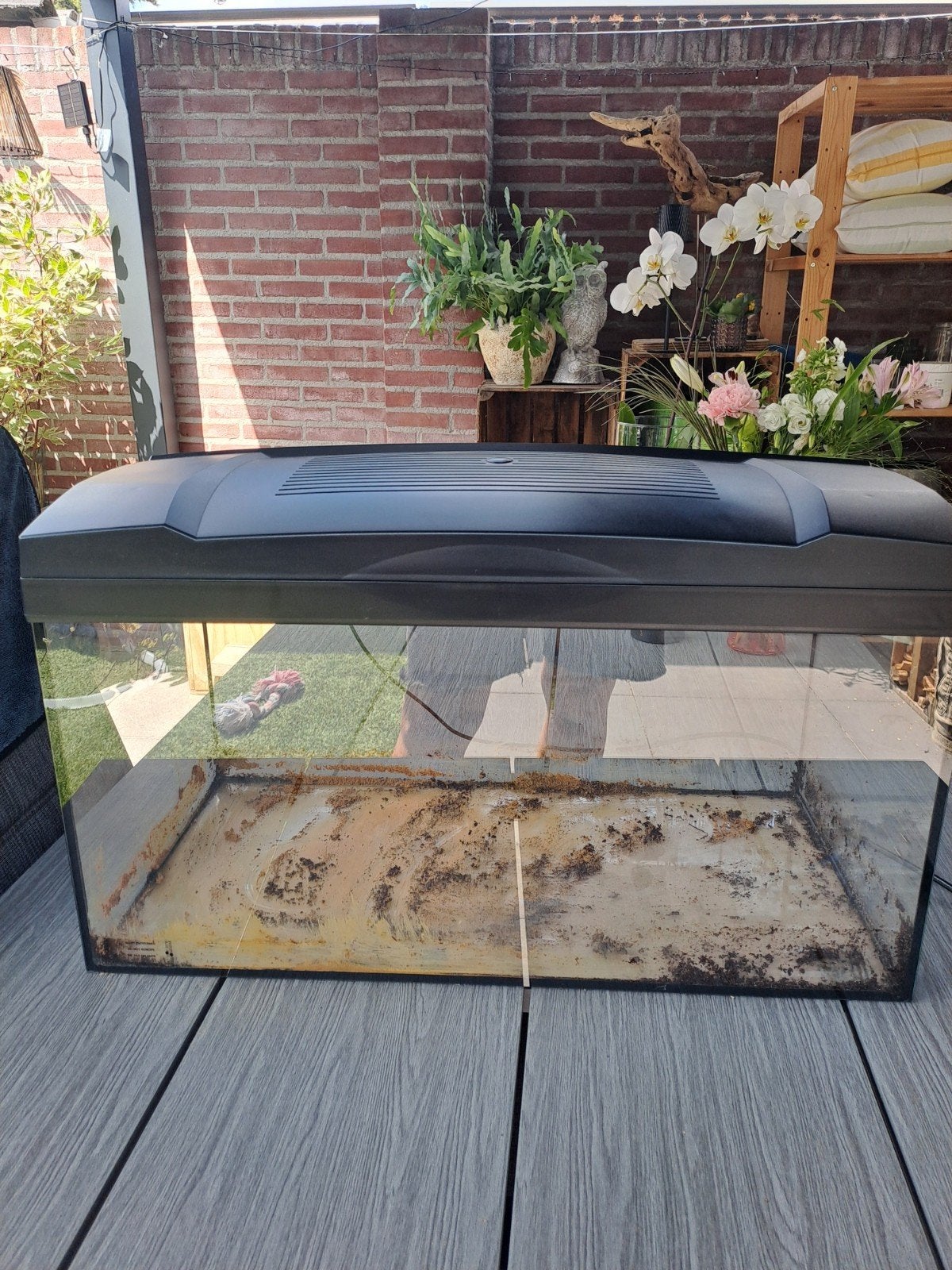 aquarium, Dieren en Toebehoren, Vissen | Aquaria en Toebehoren, Ophalen, Leeg aquarium