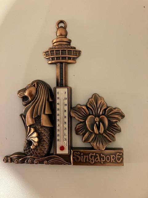 Thermometer uit Singapore, Ophalen, Zo goed als nieuw, Binnenthermometer