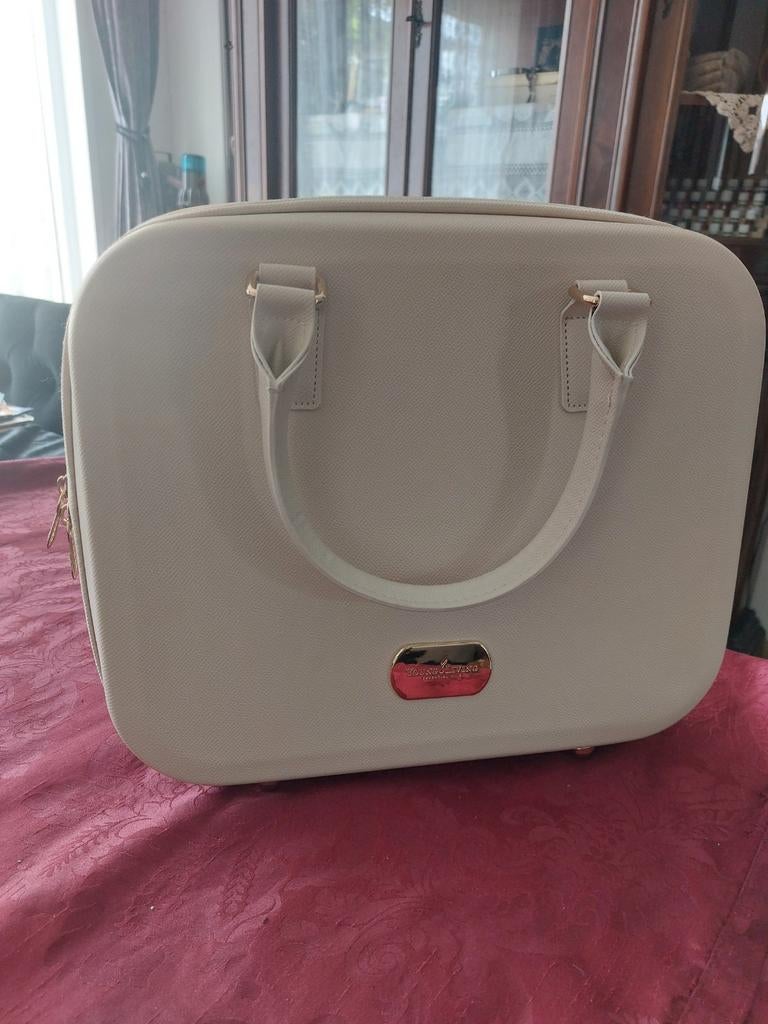 Young Living essential oils koffer, Sieraden, Tassen en Uiterlijk, Ophalen of Verzenden, Zo goed als nieuw, Beige, Hardcase