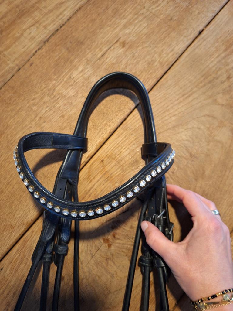 Dy'on Stang en trens hoofdstel, Ophalen, Dressuur