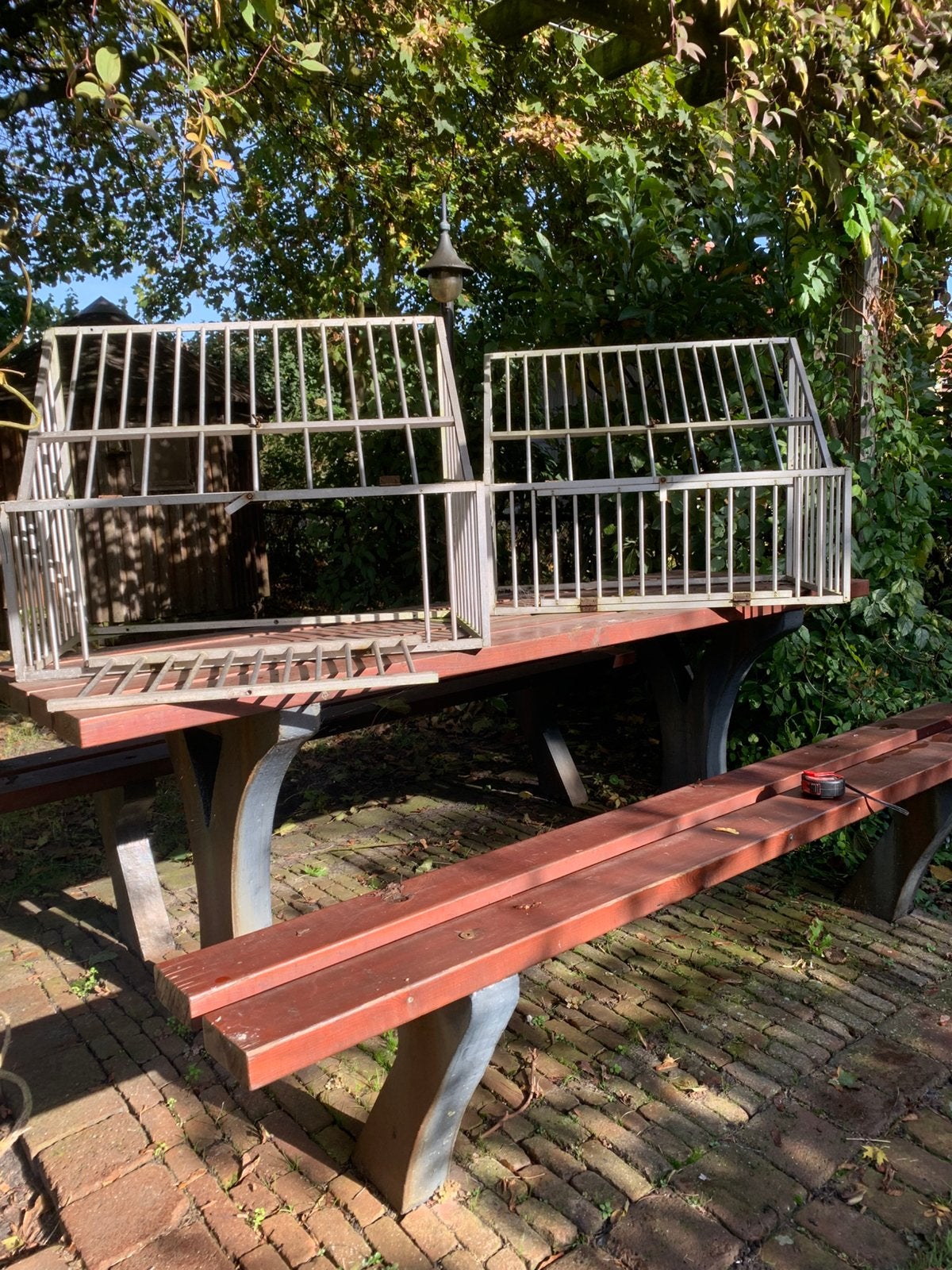 Spoetnik, Dieren en Toebehoren, Meerdere dieren, Postduif