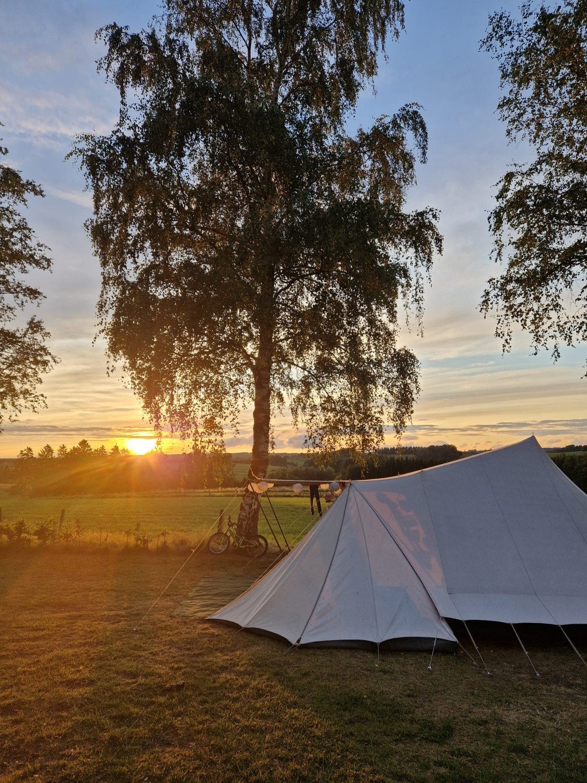 De waard albatros, Caravans en Kamperen, Tenten, Ophalen, Gebruikt