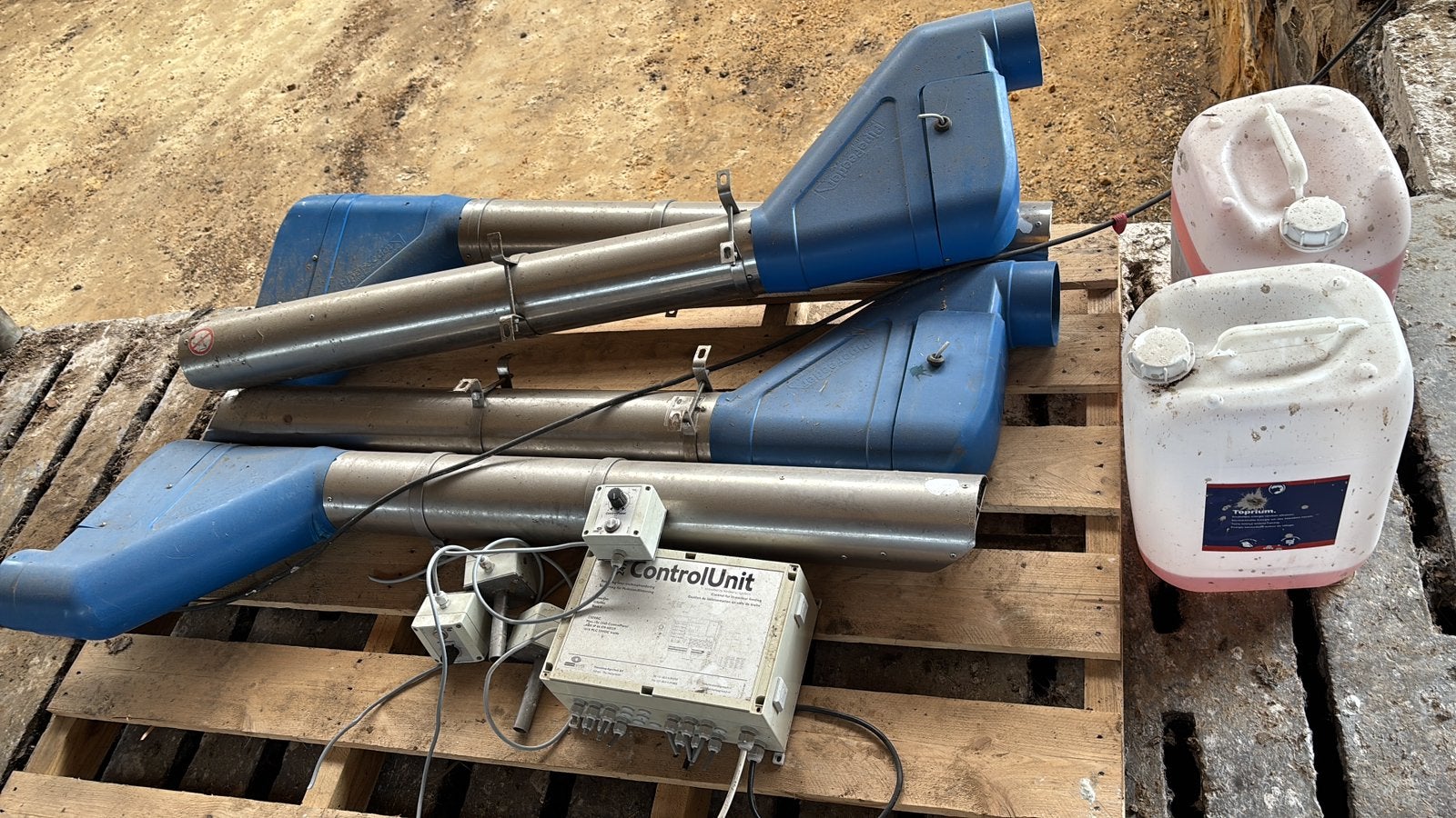 Pipefeeders, Dieren en Toebehoren, Runderen, Geslacht onbekend