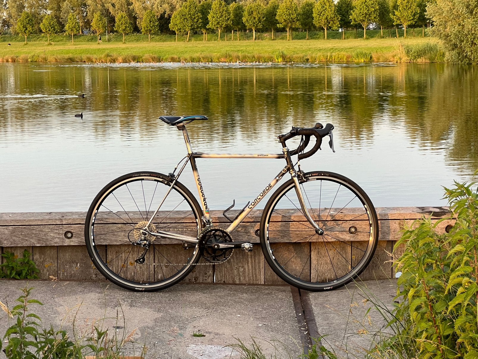 Concorde Aquila met Shimano Claris R2000, 28 inch, Gebruikt, Staal, 15 tot 20 versnellingen