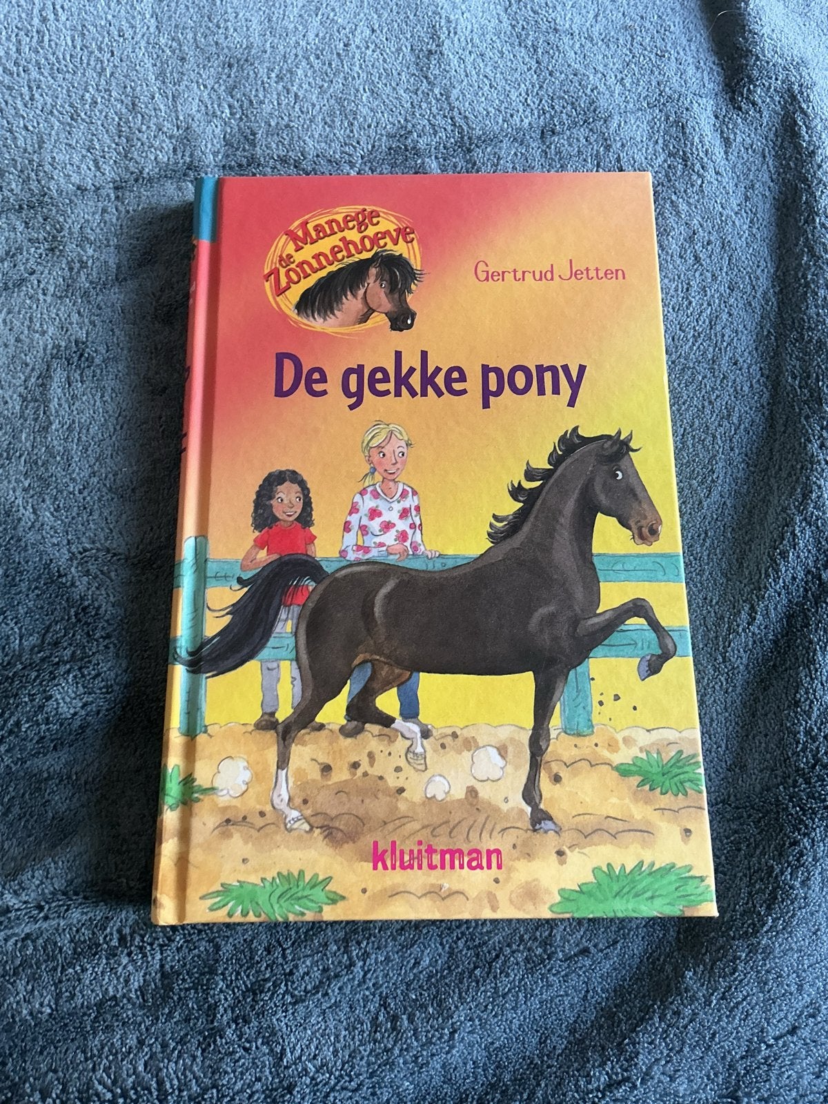 De gekke pony - Gerruud Jetten (Manege Zonnehoeve), Boeken, Kinderboeken | Jeugd | onder 10 jaar, Ophalen of Verzenden, Zo goed als nieuw