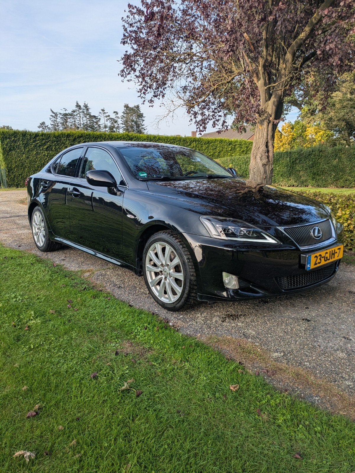 Lexus IS 250 2.5 AUT 2008 Zwart, Auto's, Achterwielaandrijving, 1535 kg, Zwart, Bruin