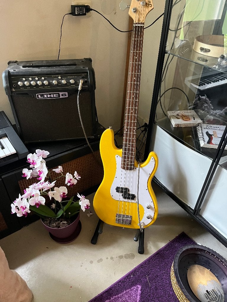 Basgitaar met amplifier, Muziek en Instrumenten, Snaarinstrumenten | Gitaren | Bas, Ophalen, Zo goed als nieuw, Elektrisch