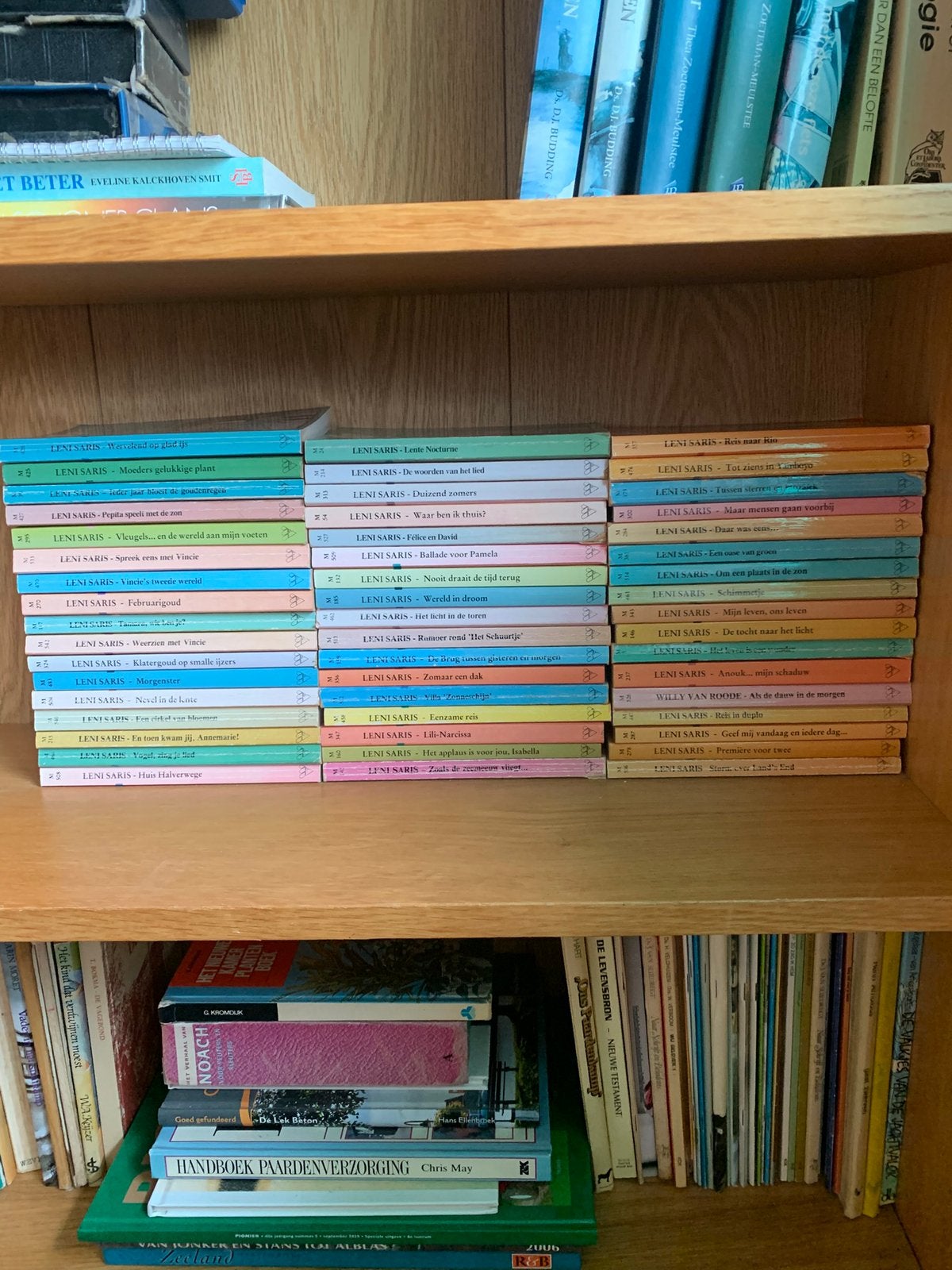 Leni saris pockets, Boeken, Ophalen of Verzenden, Gelezen, Stripboeken