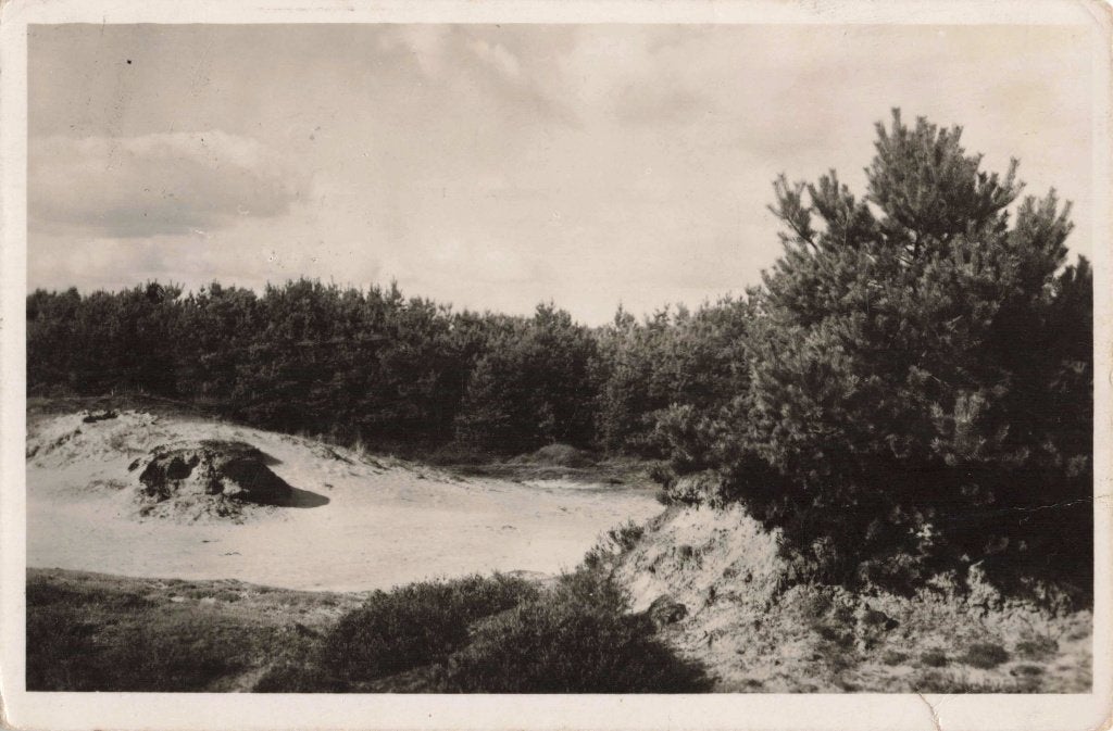 Appelscha Duinen L3110, Ophalen, 1940 tot 1960, Gelopen, Friesland